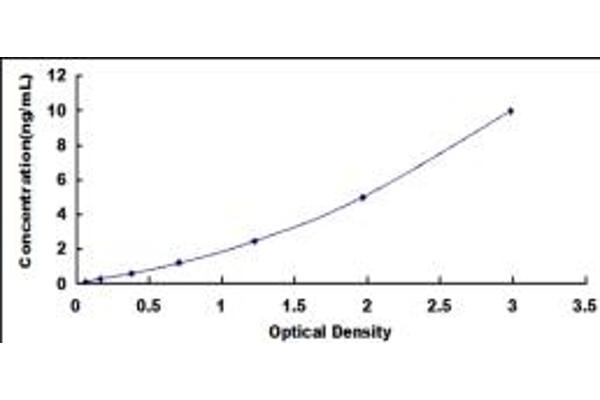 TAS1R2 ELISA Kit