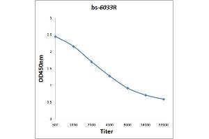 Antigen: 0. (CNTN3 antibody  (AA 301-400))