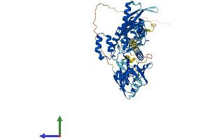 Protein Structure (PS) image for Sorting Nexin 27 (SNX27) (AA 1-541) protein (His tag) (ABIN7555542)