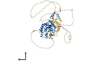 AlphaFold protein structure predicition of Human Recombinant BAP1 Protein, UniprotID Q92560