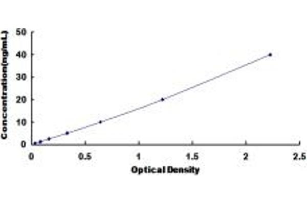 NAT2 ELISA Kit