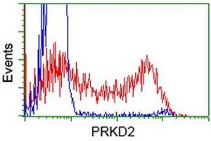 HEK293T cells transfected with either RC215335 overexpress plasmid (Red) or empty vector control plasmid (Blue) were immunostained by anti-PRKD2 antibody (ABIN2453515), and then analyzed by flow cytometry. (PKD2 antibody)