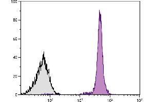 Chicken peripheral blood lymphocytes were stained with Mouse Anti-Chicken CD45-SPRD. (CD45 antibody  (SPRD))