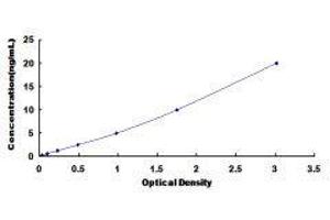 ELISA image for Phosphorylase, Glycogen, Muscle (PYGM) ELISA Kit (ABIN416777)