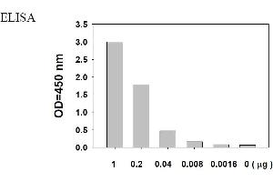 Image no. 2 for Epidermal Growth Factor Receptor (EGFR) ELISA Kit (ABIN625234) (EGFR ELISA Kit)