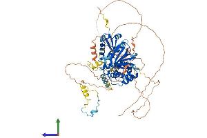 Protein Structure (PS) image for erythrocyte Membrane Protein Band 4.1 Like 4A (EPB41L4A) (AA 1-686) protein (His tag) (ABIN7563428)