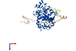 ST6GALNAC2 Protein (AA 1-373) (His tag)