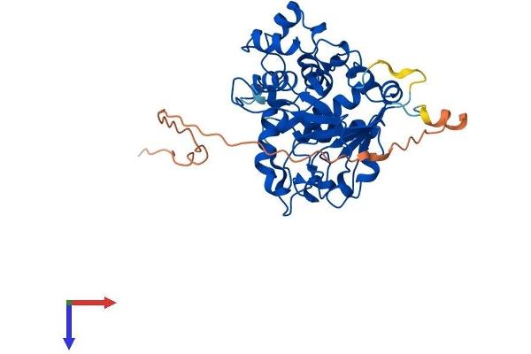 ST6GALNAC2 Protein (AA 1-373) (His tag)