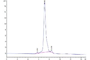 The purity of Human TNFSF12 is greater than 95 % as determined by SEC-HPLC. (TWEAK Protein (AA 43-249) (Fc Tag))