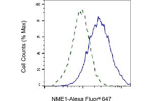 Validation of NME1 knockdown using flow cytometry.