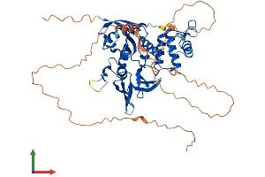 AlphaFold protein structure predicition of Mouse Recombinant Frmd5 Protein, UniprotID Q6P5H6 (FRMD5 Protein (AA 1-517) (His tag))