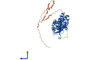 AlphaFold protein structure predicition of Mouse Recombinant Hnf4g Protein, UniprotID Q9WUU6