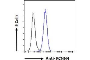 ABIN6391378 Flow cytometric analysis of paraformaldehyde fixed HEK293 cells (blue line), permeabilized with 0.