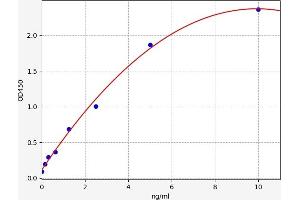 Typical standard curve (GATA2 ELISA Kit)