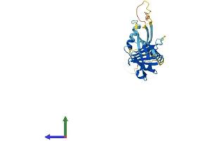 Protein Structure (PS) image for Integral Membrane Protein 2B (ITM2B) (AA 1-266) protein (His tag) (ABIN7562707)
