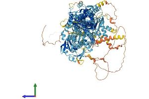 AlphaFold protein structure predicition of Human Recombinant ATP8B3 Protein, UniprotID O60423