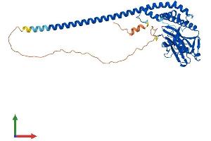 Protein Structure (PS) image for STAM Binding Protein-Like 1 (STAMBPL1) (AA 1-436) protein (His tag) (ABIN7544034)
