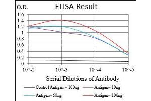 Black line: Control Antigen (100 ng), Purple line: Antigen(10 ng), Blue line: Antigen (50 ng), Red line: Antigen (100 ng), (NME2 antibody  (AA 1-152))