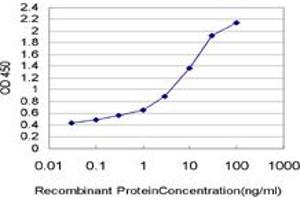 Detection limit for recombinant GST tagged PDE3B is approximately 0. (PDE3B antibody  (AA 401-500))