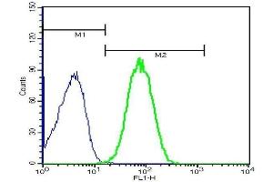 Mouse splenocytes probed with Rabbit Anti-TLR4 Polyclonal Antibody . (TLR4 antibody  (AA 751-835))