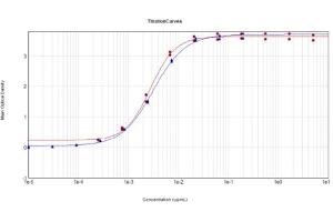 ELISA results of Anti-Feimin (Mouse) Monoclonal Antibody Clone 7F7. (Feimin antibody)