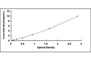 MT3 ELISA Kit