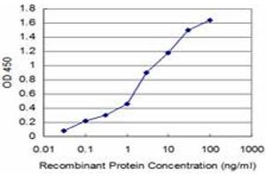 ELISA image for anti-Acylphosphatase 2, Muscle Type (Acyp2) (AA 1-98) antibody (ABIN559780)