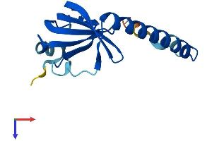 AlphaFold protein structure predicition of Human Recombinant LSM1 Protein, UniprotID O15116 (LSM1 Protein (AA 1-133) (His tag))