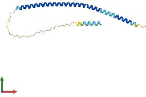 AlphaFold protein structure predicition of Human Recombinant FAM9C Protein, UniprotID Q8IZT9