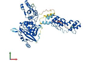 AlphaFold protein structure predicition of Human Recombinant ASPG Protein, UniprotID Q86U10 (Asparaginase Protein (AA 1-573) (His tag))