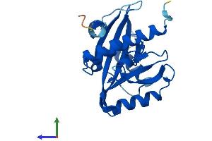 AlphaFold protein structure predicition of Human Recombinant NUDT16L1 Protein, UniprotID Q9BRJ7