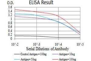 Black line: Control Antigen (100 ng), Purple line: Antigen(10 ng), Blue line: Antigen (50 ng), Red line: Antigen (100 ng), (LEF1 antibody  (AA 33-138))