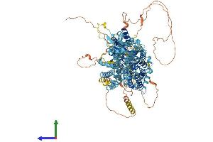 AlphaFold protein structure predicition of Human Recombinant SLC4A10 Protein, UniprotID Q6U841 (SLC4A10 Protein (AA 1-1118) (His tag))