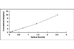 Typical standard curve (Ephrin B1 ELISA Kit)