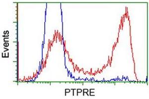 Flow Cytometry (FACS) image for anti-Protein tyrosine Phosphatase, Receptor Type, E (PTPRE) antibody (ABIN1500505) (PTPRE antibody)