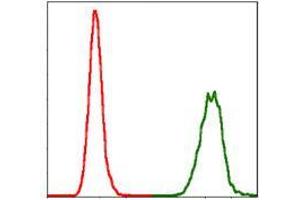 Flow cytometric analysis of Hela cells using NEDD8 mouse mAb (green) and negative control (red). (NEDD8 antibody)