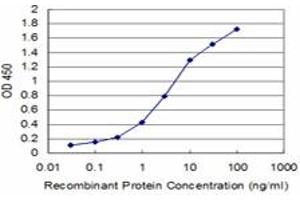 Detection limit for recombinant GST tagged EGR1 is approximately 0. (EGR1 antibody  (AA 444-543))