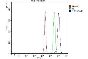 Flow Cytometry analysis of HepG2 cells using anti-TRMT61A antibody (ABIN7599220). (TRMT61A antibody  (AA 1-289))