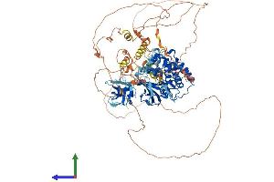 AlphaFold protein structure predicition of Mouse Recombinant Map3k14 Protein, UniprotID Q9WUL6