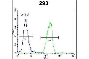 SOX2 Antibody (Center) (ABIN6243286 and ABIN6577389) flow cytometric analysis of 293 cells (right histogram) compared to a negative control cell (left histogram). (SOX2 antibody  (AA 89-119))