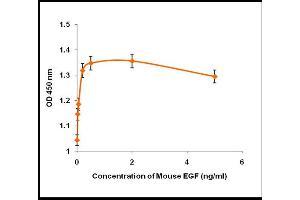 Activity Assay (AcA) image for Epidermal Growth Factor (EGF) (Active) protein (ABIN5509295) (EGF Protein)