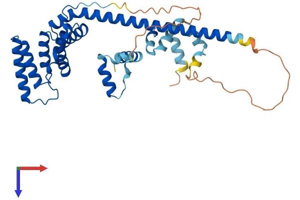 HSC70 Interacting Protein HIP Protein (AA 1-369) (His tag)
