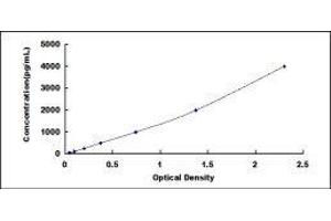 ELISA image for Hepcidin Antimicrobial Peptide (HAMP) ELISA Kit (ABIN415686)