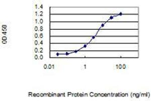 Detection limit for recombinant GST tagged SCGB2A2 is 0. (Mammaglobin A antibody  (AA 1-93))