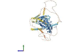 AlphaFold protein structure predicition of Mouse Recombinant Pkd2 Protein, UniprotID O35245 (PKD2 Protein (AA 1-966) (His tag))