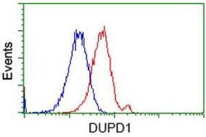HEK293T cells transfected with either RC214361 overexpress plasmid (Red) or empty vector control plasmid (Blue) were immunostained by anti-DUPD1 antibody (ABIN2452962), and then analyzed by flow cytometry. (DUPD1 antibody)