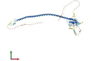 Protein Structure (PS) image for ATG14 Autophagy Related 14 (ATG14) (AA 1-492) protein (His tag) (ABIN7552511)
