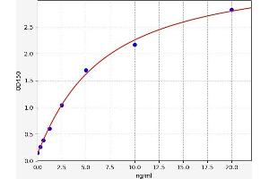 GRIN1/NMDAR1 ELISA Kit