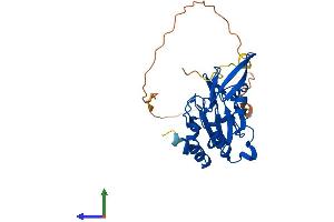 AlphaFold protein structure predicition of Human Recombinant CTDSPL Protein, UniprotID O15194 (CTDSPL Protein (AA 1-276) (His tag))