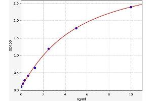 WISP2 ELISA Kit